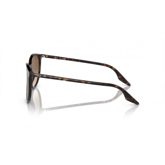 Ray-Ban RB2204 902/51