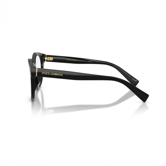 Dolce&Gabbana DG3421 501