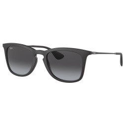 Ray-Ban RB4221 622/8G