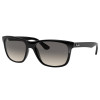 Ray-Ban RB4181 601/71