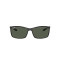 Ray-Ban RB4179 601/71
