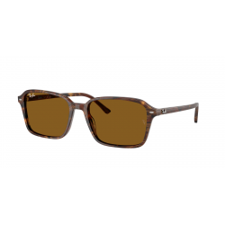 Ray-Ban Raimond RB2231 141833