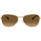 Ray-Ban RB3733 001/M2 Polarized