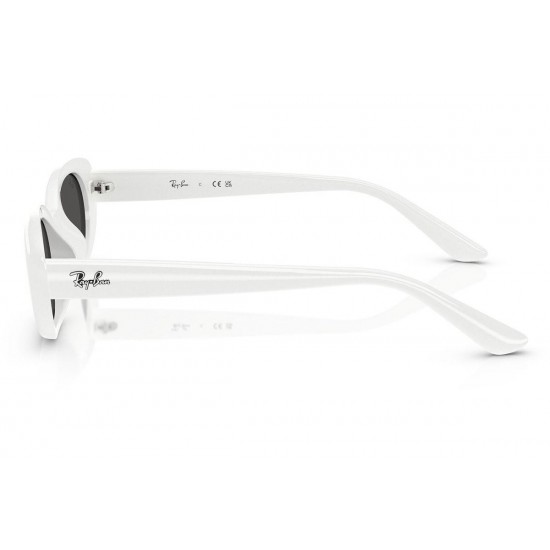 Ray-Ban RB4441D 677287