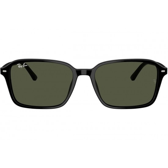 Ray-Ban Raimond RB2231 901/31