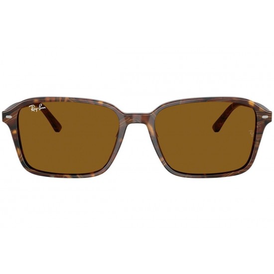 Ray-Ban Raimond RB2231 141833