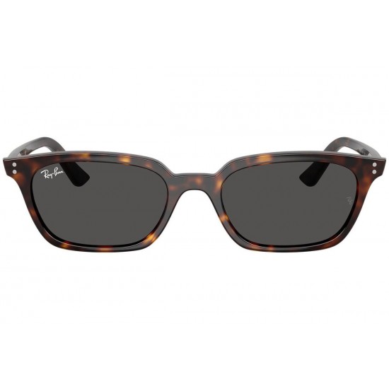 Ray-Ban Zaya RB4456 135987