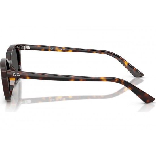 Ray-Ban Zaya RB4456 135987