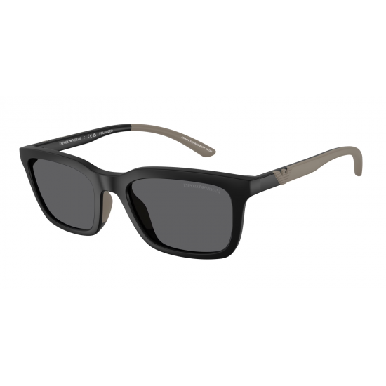 Emporio Armani EA4249U 500181 Polarized