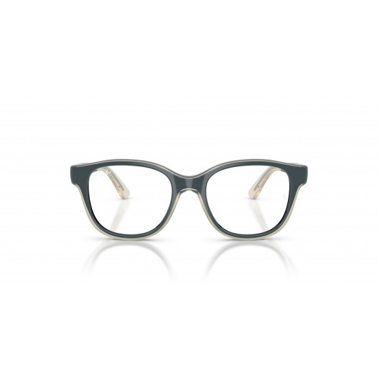 Ray-Ban RY1950 7202