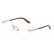 Dolce & Gabbana DG1360 1298