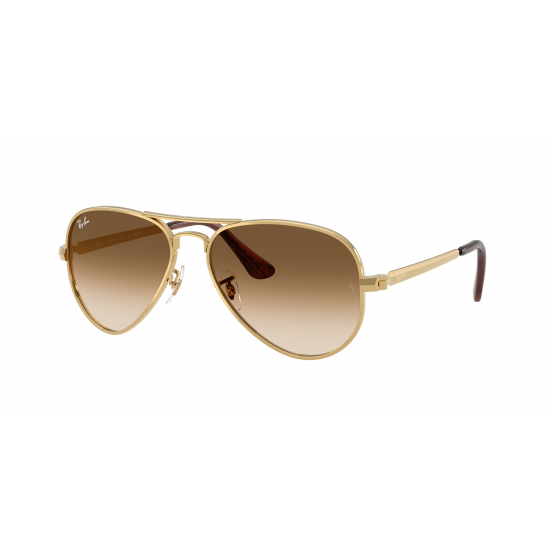 Ray-Ban Aviator Max RB3925 001/51