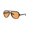Ray-Ban Cats 5000 RB4125 601/33