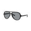 Ray-Ban Cats 5000 RB4125 601/R5