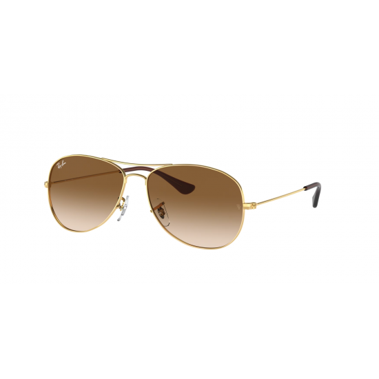Ray-Ban Cockpit RB3362 001/51