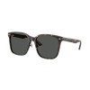 Ray-Ban RB2206D 710/87