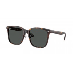 Ray-Ban RB2206D 710/87