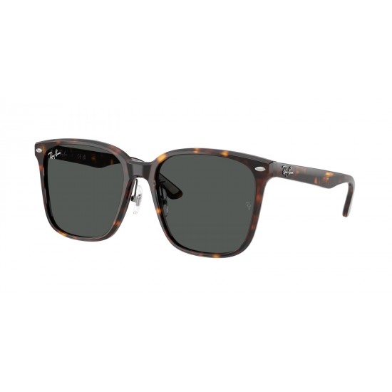 Ray-Ban RB2206D 710/87