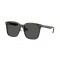 Ray-Ban RB2206D 710/87