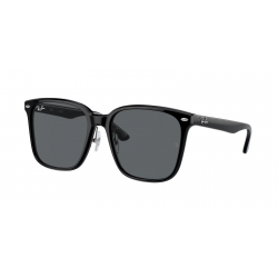 Ray-Ban RB2206D 901/87