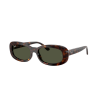 Ray-Ban RB2221 902/31