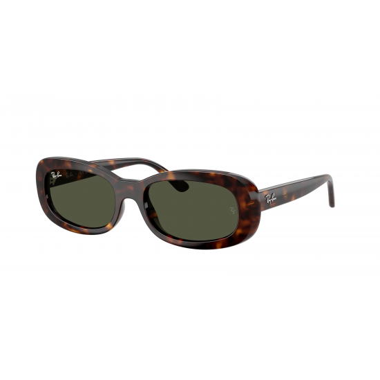 Ray-Ban RB2221 902/31