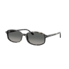 Ray-Ban RB2232 133371