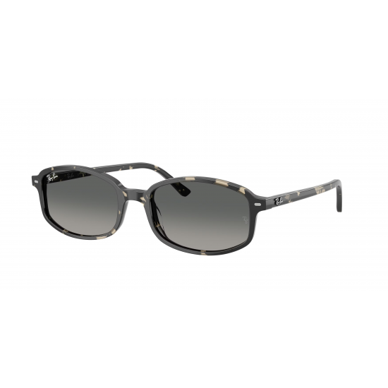 Ray-Ban RB2232 133371