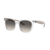  Ray-Ban RB4379D 659811
