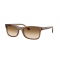  Ray-Ban RB2226 664051