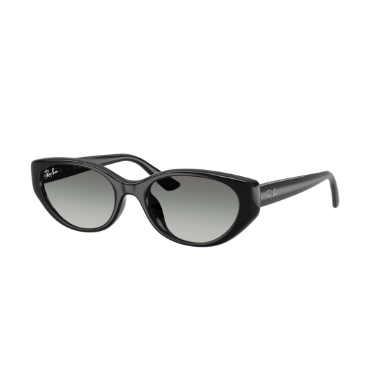 Ray-Ban RB4457D 667711
