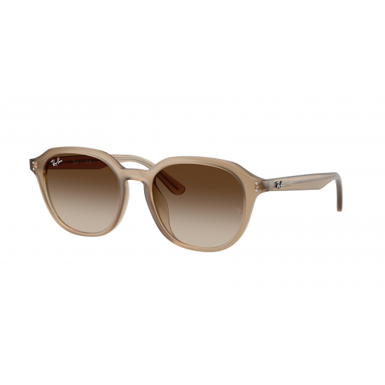Ray-Ban RB4459D 616613