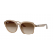 Ray-Ban RB4459D 616613