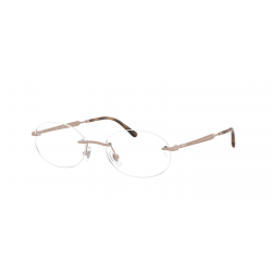 Ray-Ban RX3767V 3207