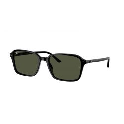 Ray-Ban Raimond RB2231 901/31