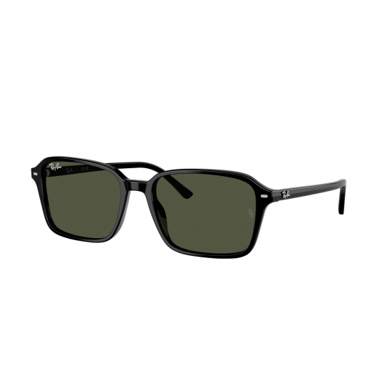 Ray-Ban Raimond RB2231 901/31