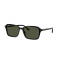 Ray-Ban Raimond RB2231 901/31