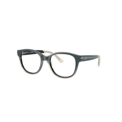 Ray-Ban RY1950 7202