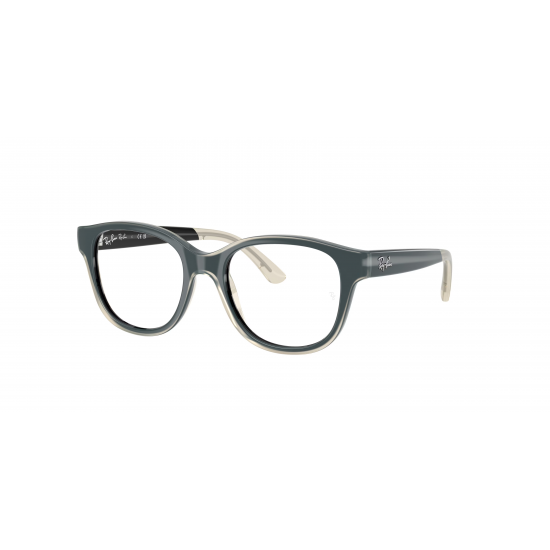 Ray-Ban RY1950 7202