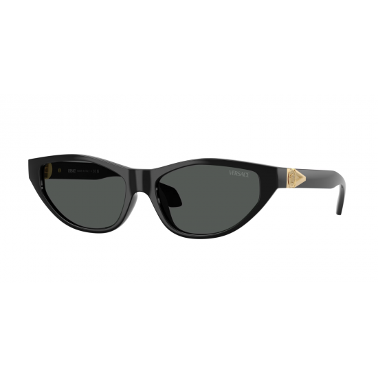Versace VE4491U GB1/87