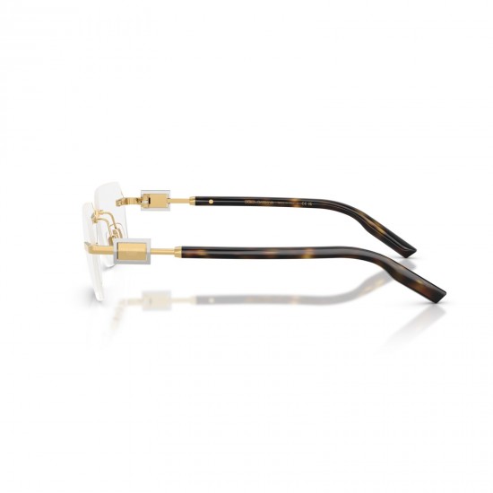 Dolce&Gabbana DG1361 02