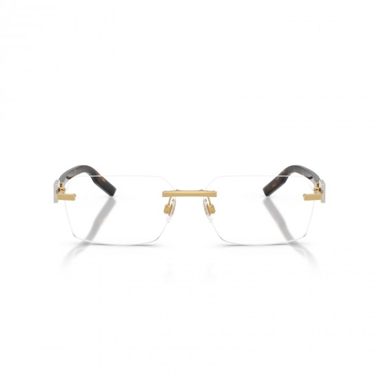 Dolce&Gabbana DG1361 02