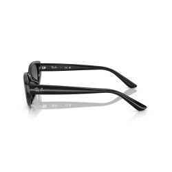Ray-Ban RB4457D 667711