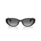 Ray-Ban RB4457D 667711