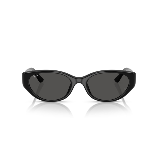 Ray-Ban RB4457D 667787