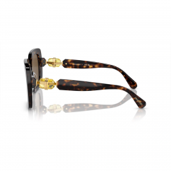 Swarovski SK6001 100273
