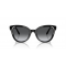 Swarovski SK6031 1001T3 Polarized