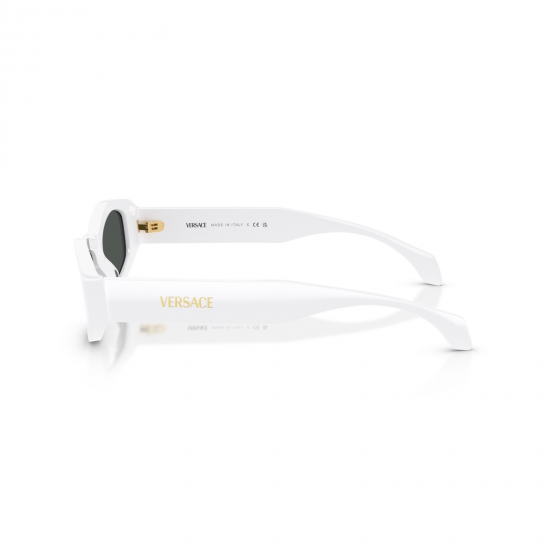 Versace VE4487 314/87