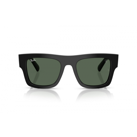 Ray-Ban RB2217M F60171