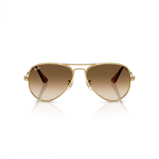 Ray-Ban Aviator Max RB3925 001/51